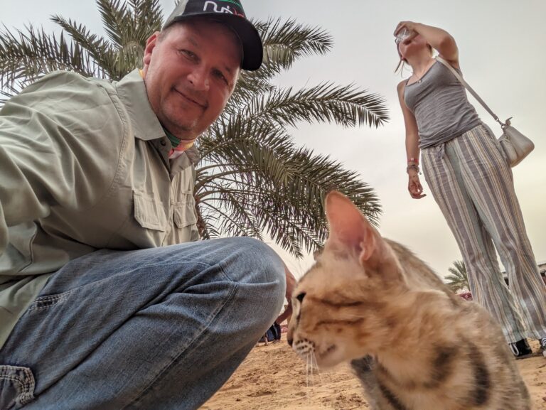 The Allure of the Egyptian Mau: A Captivating Feline Companion