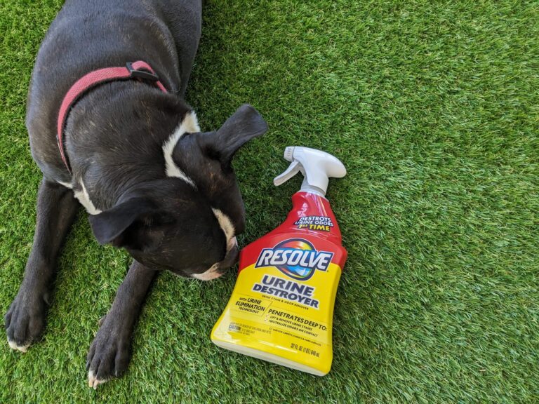 Resolving the Riddle of Dog Urine Odor: A Review of Resolve Urine Destroyer Spray